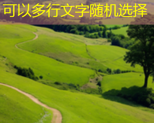 txvlogcom糖心官网版：轻松视频创作与社交分享的完美平台