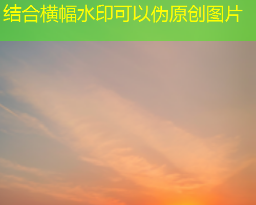 TXVLOG糖心2024：一站式视频交友平台，轻松畅聊与互动