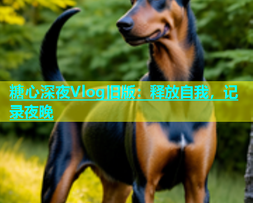 糖心深夜Vlog旧版：释放自我，记录夜晚