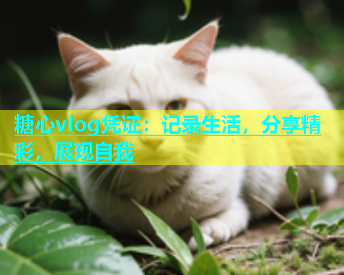 糖心vlog凭证：记录生活，分享精彩，展现自我