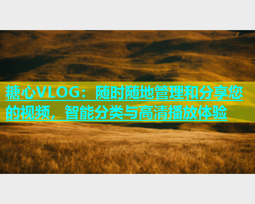 糖心VLOG：随时随地管理和分享您的视频，智能分类与高清播放体验