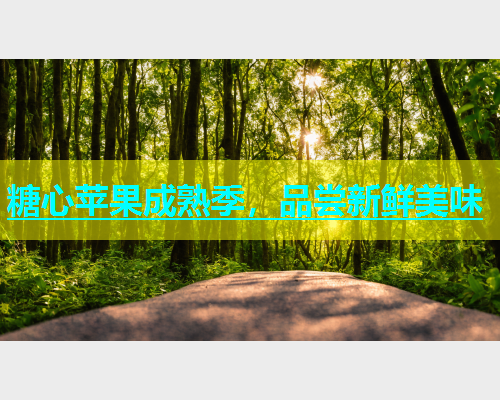 糖心苹果成熟季，品尝新鲜美味