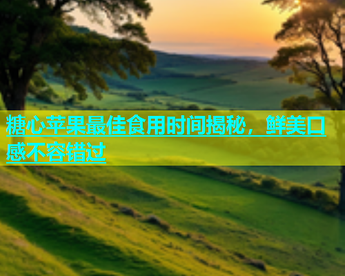 糖心苹果最佳食用时间揭秘，鲜美口感不容错过