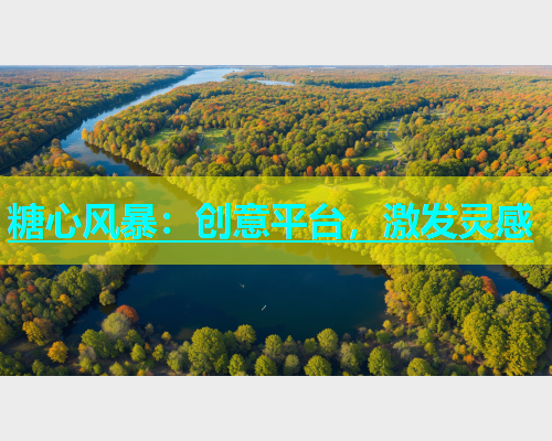 糖心风暴：创意平台，激发灵感