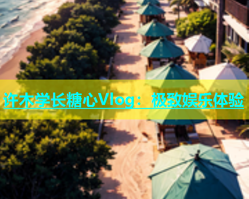 许木学长糖心Vlog：极致娱乐体验
